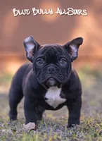 processed/22db2886-bbe4-4857-9e3f-032effd7b208/listing/765a941f-bcfa-4b0f-b655-900530cd8a04/461cb514-673e-4222-ab67-337ea780ad18