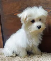 processed/22dc2092-af97-4ef3-b482-a53a2b9dc0eb/listing/b9ee7215-ba49-449f-8f7d-2110a0814462/58348f4d-9f2a-4c82-9715-5f4a60af5022