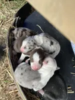 processed/22dd4db3-32e9-4b39-befe-51b3f369cd6f/facility/27240321-d3c9-41fc-ae95-4a3db1b95c28