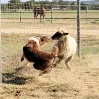 processed/22dd4db3-32e9-4b39-befe-51b3f369cd6f/facility/3e8f7991-3251-4b09-871e-7e8fcdd04d3d