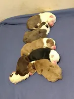 processed/22dd4db3-32e9-4b39-befe-51b3f369cd6f/facility/6aba05eb-2396-4a31-9c3c-738140205022