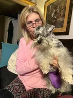 Yasmine, a female Miniature Schnauzer for sale in Longview, TX – 5 of 9