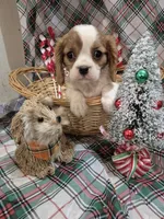 processed/22ec5250-f20d-4b6b-967e-61b50b2f6346/listing/65f0484a-6190-4404-a8b5-ef234aac85fd/4bc07c64-5fc9-44ab-960d-5eff4c232f4d