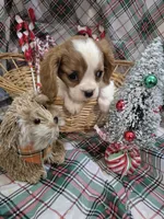 processed/22ec5250-f20d-4b6b-967e-61b50b2f6346/listing/65f0484a-6190-4404-a8b5-ef234aac85fd/b2ea646e-6133-41a1-a18d-f52849fb6ef7