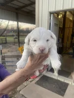 processed/22ecc67d-7db2-4be2-9ec5-8ec42e7f26d5/listing/790d98fe-a852-4d8f-a923-48a2cd7e7a06/7c9f0435-51d4-4a67-9b34-ce09c58ed3c3