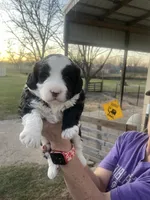 processed/22ecc67d-7db2-4be2-9ec5-8ec42e7f26d5/listing/8a4e5faf-1d8c-46c4-84c5-b6af68ae853c/2574ae16-0148-4f7f-b0e7-a3133db3d9d8