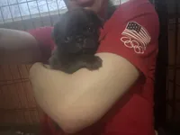 processed/22f88734-b462-4715-9207-d5fa2da38934/listing/22ce9293-d111-4853-b2ea-8649d3063182/0dee0419-87ec-4d43-93ae-e2013ba7d922