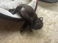 processed/22f88734-b462-4715-9207-d5fa2da38934/listing/22ce9293-d111-4853-b2ea-8649d3063182/2ad91934-96e7-485a-96f3-a36dbf42c02b