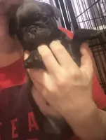 processed/22f88734-b462-4715-9207-d5fa2da38934/listing/22ce9293-d111-4853-b2ea-8649d3063182/57016cb7-87f1-4ed1-86d9-c03c8fa9d05d