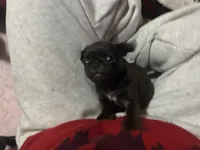 processed/22f88734-b462-4715-9207-d5fa2da38934/listing/22ce9293-d111-4853-b2ea-8649d3063182/6c315b48-f433-4b22-b39f-95c728dd36da