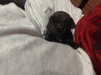 processed/22f88734-b462-4715-9207-d5fa2da38934/listing/22ce9293-d111-4853-b2ea-8649d3063182/705a5506-638a-429f-b648-d28526fc5a0a