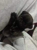 processed/22f88734-b462-4715-9207-d5fa2da38934/listing/22ce9293-d111-4853-b2ea-8649d3063182/a17fe261-891e-4021-91bf-acc2350eacfe