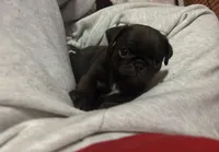 processed/22f88734-b462-4715-9207-d5fa2da38934/listing/22ce9293-d111-4853-b2ea-8649d3063182/b31bd74a-e023-4b65-a457-5c7fa39f1e00