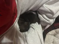 processed/22f88734-b462-4715-9207-d5fa2da38934/listing/22ce9293-d111-4853-b2ea-8649d3063182/dd4b08dd-0357-4fd3-a511-ff853b2e2158