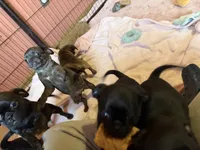 processed/22f88734-b462-4715-9207-d5fa2da38934/listing/8bf363bc-cc0a-45fb-a84a-cc50c296dee0/1332d61f-ecfb-4c47-8115-6bca2839c6f1