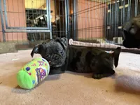 processed/22f88734-b462-4715-9207-d5fa2da38934/listing/8bf363bc-cc0a-45fb-a84a-cc50c296dee0/4b7e6072-98e7-4bf2-967f-a0c386a52138