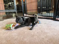 processed/22f88734-b462-4715-9207-d5fa2da38934/listing/8bf363bc-cc0a-45fb-a84a-cc50c296dee0/7f37d72b-08a3-416f-ae1f-873cb912f6b3