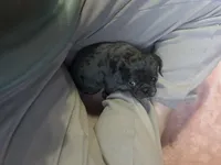 processed/22f88734-b462-4715-9207-d5fa2da38934/listing/8bf363bc-cc0a-45fb-a84a-cc50c296dee0/8653cff9-d0c4-4f8c-92c7-1a202f23ae12