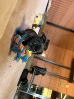 processed/22f88734-b462-4715-9207-d5fa2da38934/listing/8bf363bc-cc0a-45fb-a84a-cc50c296dee0/c85f80c0-8380-4d94-a8f7-64ab1b5929fb