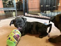 processed/22f88734-b462-4715-9207-d5fa2da38934/listing/8bf363bc-cc0a-45fb-a84a-cc50c296dee0/cd05c6ef-adb5-4647-a29b-253d5b372c8b