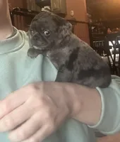 processed/22f88734-b462-4715-9207-d5fa2da38934/listing/8bf363bc-cc0a-45fb-a84a-cc50c296dee0/d312dc67-b4a0-4c1c-8f98-b7c5e0877233