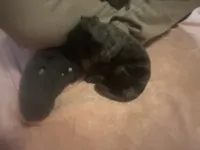 processed/22f88734-b462-4715-9207-d5fa2da38934/listing/8bf363bc-cc0a-45fb-a84a-cc50c296dee0/e1a5b3d9-a0d3-4c78-9232-fb8b4a30236e