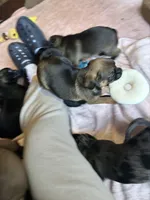 processed/22f88734-b462-4715-9207-d5fa2da38934/listing/bc46ed67-7cbb-4a25-ad7f-a1031ca86a90/0718953d-c427-4f21-adb2-4da34b1172bd