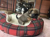 processed/22f88734-b462-4715-9207-d5fa2da38934/listing/bc46ed67-7cbb-4a25-ad7f-a1031ca86a90/078700bc-100d-4f64-b911-6b045fbdfc68