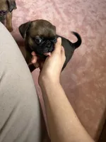 processed/22f88734-b462-4715-9207-d5fa2da38934/listing/bc46ed67-7cbb-4a25-ad7f-a1031ca86a90/b599e035-8481-4f48-86eb-27b061b1ce39