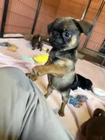 processed/22f88734-b462-4715-9207-d5fa2da38934/listing/bc46ed67-7cbb-4a25-ad7f-a1031ca86a90/ba528315-5c68-4e63-92e1-6774e30f70f6