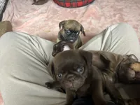 processed/22f88734-b462-4715-9207-d5fa2da38934/listing/bc46ed67-7cbb-4a25-ad7f-a1031ca86a90/bf20cf74-b438-46a8-b802-cdb3277f2f40