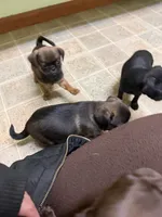 processed/22f88734-b462-4715-9207-d5fa2da38934/listing/bc46ed67-7cbb-4a25-ad7f-a1031ca86a90/d5dea1e5-d23c-42ba-8b43-109dd53fb235