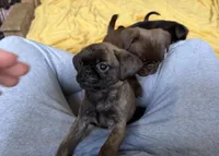 processed/22f88734-b462-4715-9207-d5fa2da38934/listing/d9b4e63f-741a-4f46-8e41-4009f978976c/0a109898-35fb-41b5-97a7-feb6b9179b71