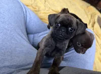 processed/22f88734-b462-4715-9207-d5fa2da38934/listing/d9b4e63f-741a-4f46-8e41-4009f978976c/231e7aec-e180-4b66-97bc-ed1fdf2f052d