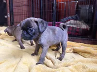 processed/22f88734-b462-4715-9207-d5fa2da38934/listing/d9b4e63f-741a-4f46-8e41-4009f978976c/30b2b2d6-060d-48ce-a046-775fe71c2272