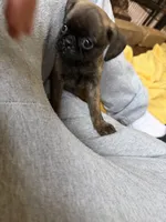 processed/22f88734-b462-4715-9207-d5fa2da38934/listing/d9b4e63f-741a-4f46-8e41-4009f978976c/64b820e5-2776-47f0-92d5-1089c9a6c016