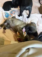 processed/22f88734-b462-4715-9207-d5fa2da38934/listing/d9b4e63f-741a-4f46-8e41-4009f978976c/9fa5bcc7-04f2-4102-97f6-f2a271d446c1