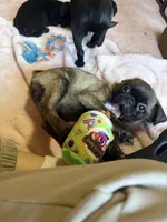 processed/22f88734-b462-4715-9207-d5fa2da38934/listing/d9b4e63f-741a-4f46-8e41-4009f978976c/ab6f8ff1-0cb3-4964-9d47-b58730f787dc