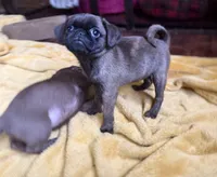 processed/22f88734-b462-4715-9207-d5fa2da38934/listing/d9b4e63f-741a-4f46-8e41-4009f978976c/ae693d7d-f70c-45a1-8f8f-6babbeb10626