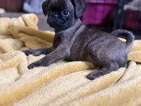 processed/22f88734-b462-4715-9207-d5fa2da38934/listing/d9b4e63f-741a-4f46-8e41-4009f978976c/b5fbdca8-be86-4a7a-9c06-a2f8505eeffd