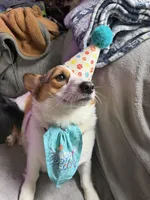 processed/2304688b-1099-44e4-ba85-2de64be64afc/facility/525a8dd2-34e9-446e-b852-b43a694d4d5b