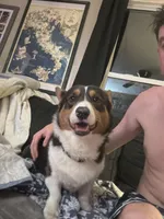 processed/2304688b-1099-44e4-ba85-2de64be64afc/facility/aeea25cd-b0a5-44a9-935c-eb74653f3adf