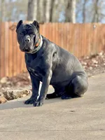 processed/230a6138-624a-4fa7-9b76-d7250e367d7f/facility/02c788b9-8256-43f8-b43c-88ee069ac6a1