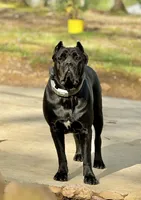 processed/230a6138-624a-4fa7-9b76-d7250e367d7f/facility/0e22f5b9-3b2b-44cf-a851-7491bbbf50e8