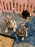 processed/230a6138-624a-4fa7-9b76-d7250e367d7f/facility/8ed7f89c-f1d4-4932-b138-b66e943f563a