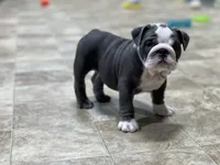 processed/230a6138-624a-4fa7-9b76-d7250e367d7f/facility/a455e24e-0717-4e0b-a269-7fd0c953cd26