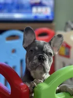 processed/230a6138-624a-4fa7-9b76-d7250e367d7f/facility/a8e7fbb9-d1c7-482d-80ce-72d5bda1662a