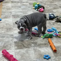 Facility photo