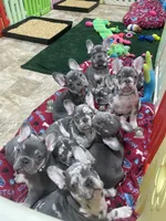 processed/230a6138-624a-4fa7-9b76-d7250e367d7f/facility/e6ccae4d-d631-4852-8bc4-fed73642be0e