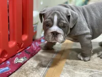 processed/230a6138-624a-4fa7-9b76-d7250e367d7f/facility/fabf43d9-a1b6-4fe1-9116-aa918d40e861